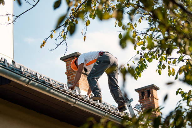 Best Roof Repair Services  in La Crescent, MN