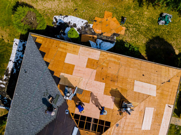 Quick and Trustworthy Emergency Roof Repair Services in La Crescent, MN