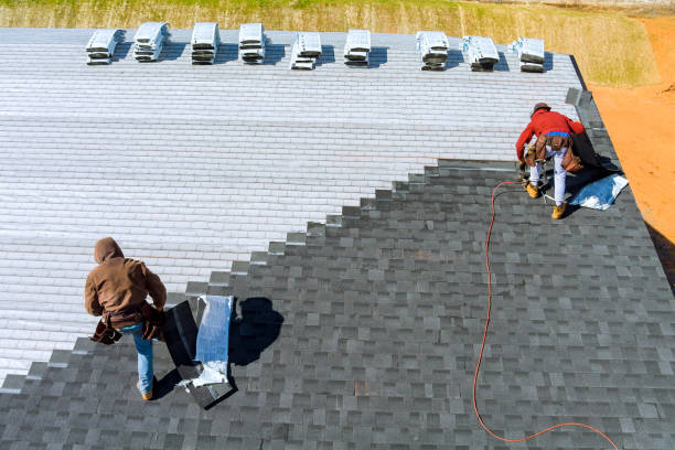 Best Metal Roofing Contractor  in La Crescent, MN