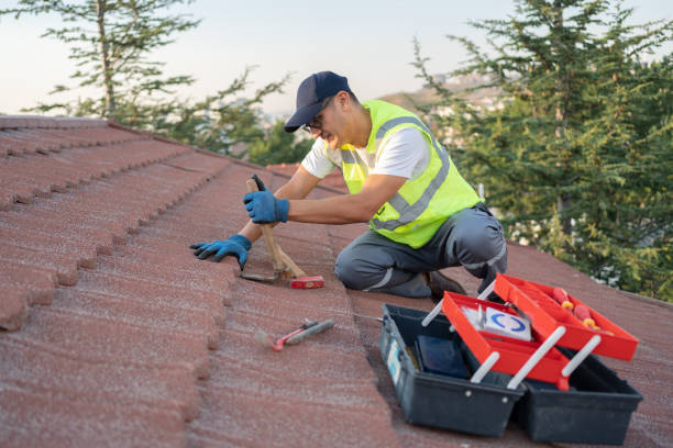 Best Roof Replacement Cost  in La Crescent, MN