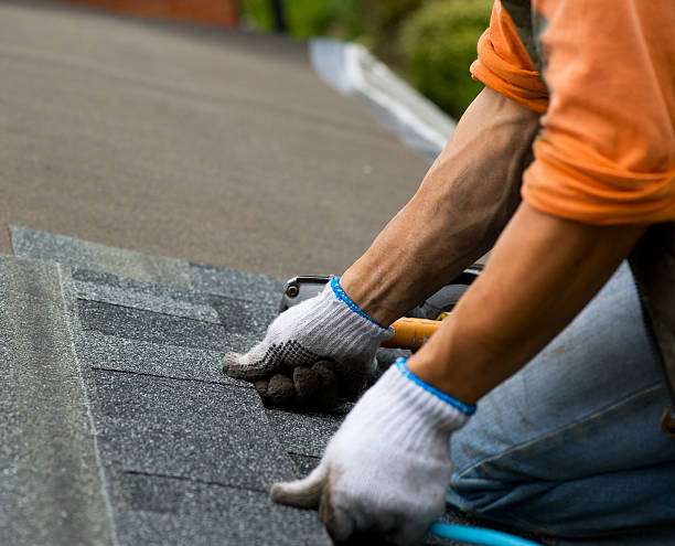 Best Roofing Contractor Near Me  in La Crescent, MN
