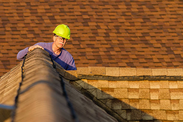Best New Roof Installation  in La Crescent, MN