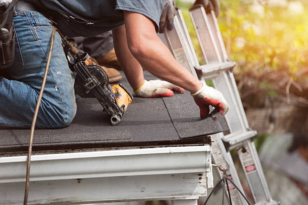 Best New Roof Installation  in La Crescent, MN