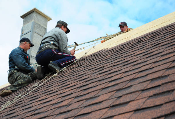 Roof Waterproofing Services in La Crescent, MN